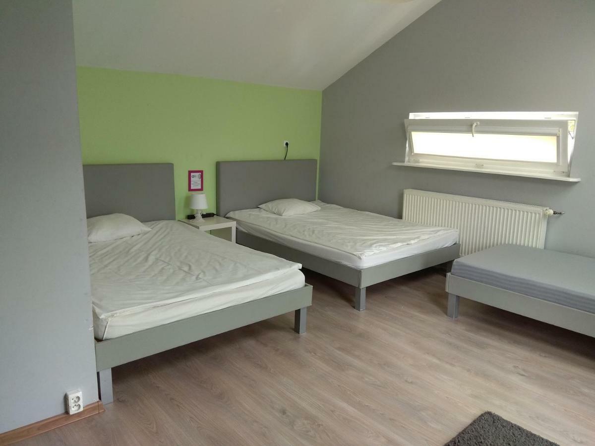 Olive Hostel *